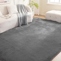 Basics Fluffy Washable Area Rug, Shaggy Carpet for Living Room, Bedroom, 5' W × 7' L, Dark Gray