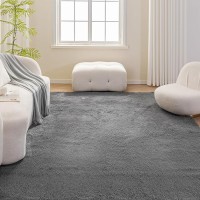 Basics Fluffy Washable Area Rug, Shaggy Carpet for Living Room, Bedroom, 5' W × 7' L, Dark Gray