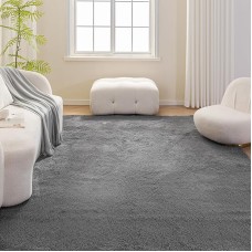 Basics Fluffy Washable Area Rug, Shaggy Carpet for Living Room, Bedroom, 5' W × 7' L, Dark Gray